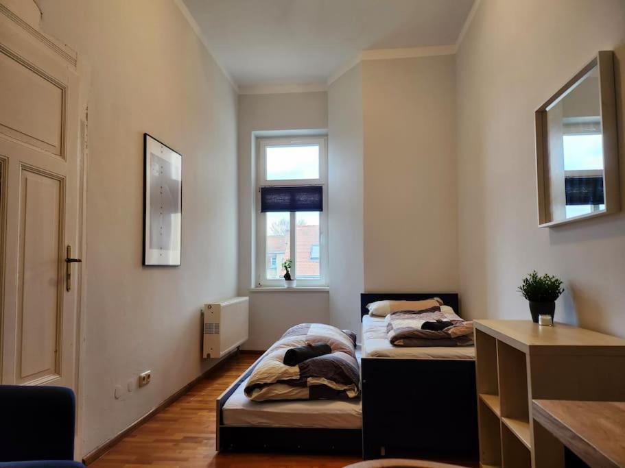 4 Raum Wohnung Mit Balkon Auf 120Sqm In Top Lage دريسدن المظهر الخارجي الصورة